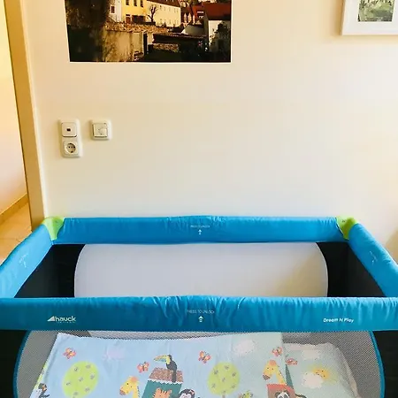 シュヴァイツァーハウス ゲストハウス 3*