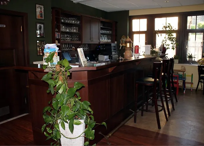 Guest house Schweizerhaus 4*