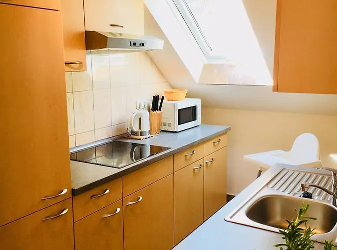 Schweizerhaus Гостевой дом 4*