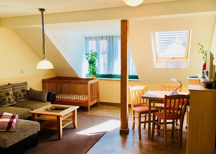 Guest house Schweizerhaus 4*